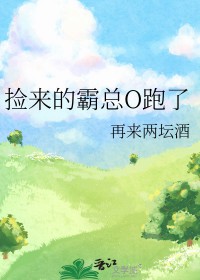 捡来的霸总跑了