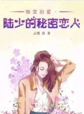 独宠旧爱&am;am;am;#183;陆少的秘密恋人