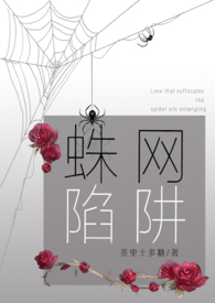 蛛网陷阱病娇强制爱 合集